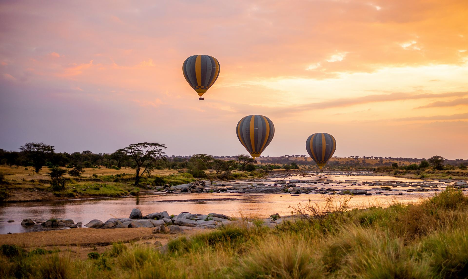 Hot air balloon over Serengeti at sunrise