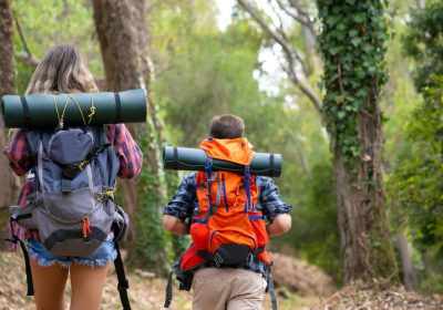A Picnic in the woods