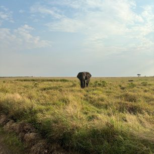 Maasai Mara