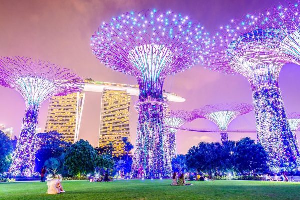 Singapore River Cruise, Night Garden Rhapsody & Spectra by CYT