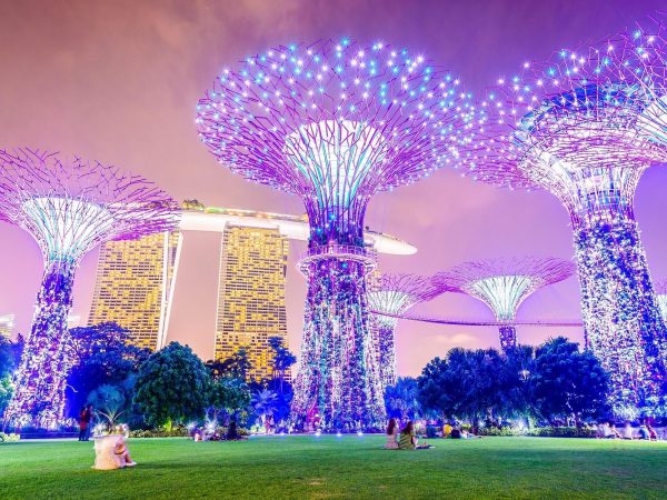 Singapore River Cruise, Night Garden Rhapsody & Spectra by CYT