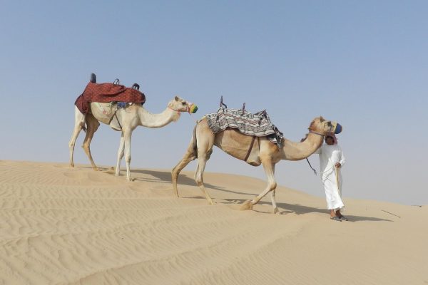 Dubai Desert Safari Dune Bashing, 60min ATV Quad, Camel Ride, BBQ