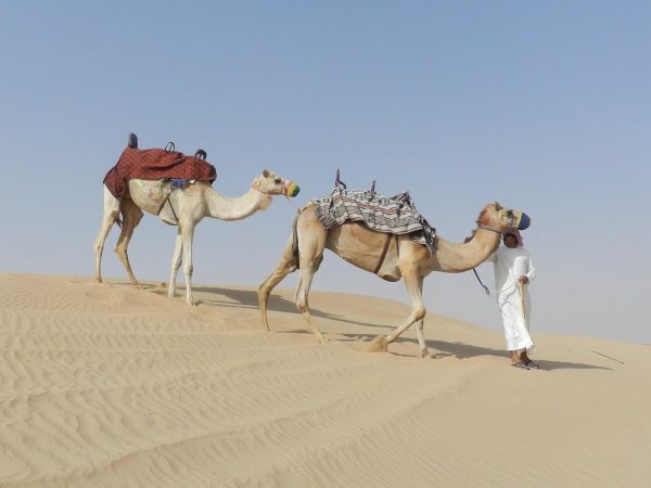 Dubai Desert Safari Dune Bashing, 60min ATV Quad, Camel Ride, BBQ