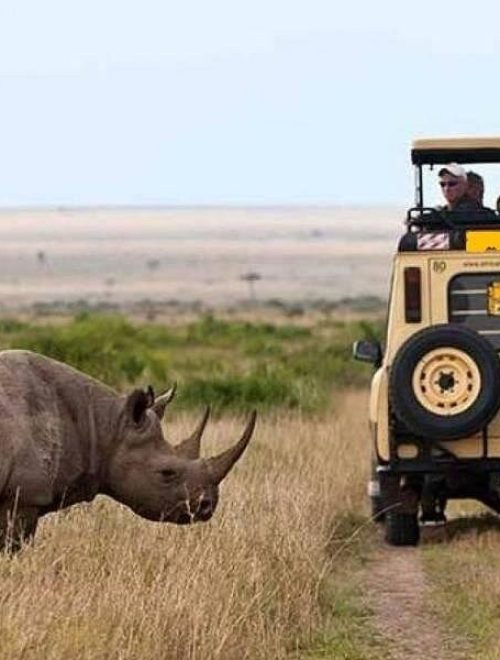 5 Days Tanzania Classic Safari  Arusha – Ngorongoro – Serengeti