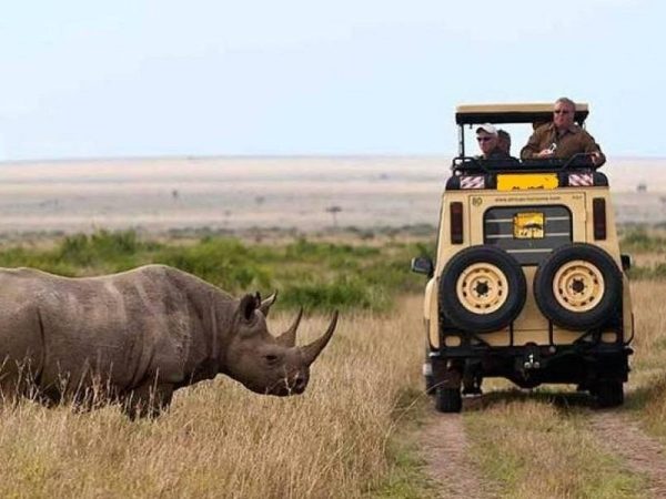 5 Days Tanzania Classic Safari  Arusha – Ngorongoro – Serengeti