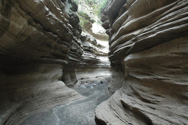 10 Days Ultimate Kenya Explorer Safari Nairobi – Masai Mara – Lake Nakuru – Lake Naivasha – Amboseli – Salt Lick – Tsavo East