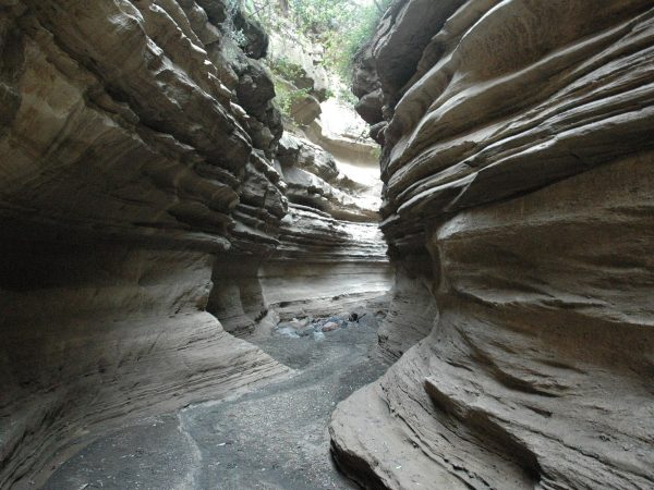 10 Days Ultimate Kenya Explorer Safari Nairobi – Masai Mara – Lake Nakuru – Lake Naivasha – Amboseli – Salt Lick – Tsavo East