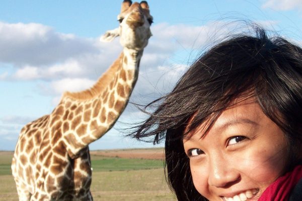 2 Day South African Wildlife Tour with 4×4 Safari from Cape Town