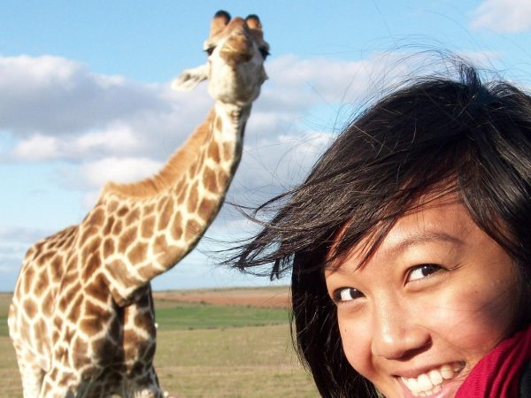 2 Day South African Wildlife Tour with 4×4 Safari from Cape Town