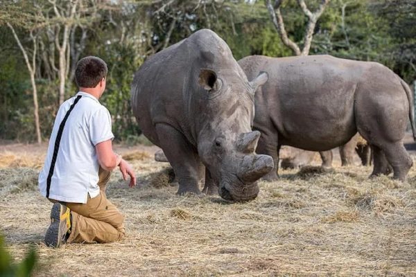 9 Days Northern Frontier & Classic Kenya Safari Nairobi – Samburu – Sweetwaters (Ol Pejeta) – Lake Nakuru – Masai Mara