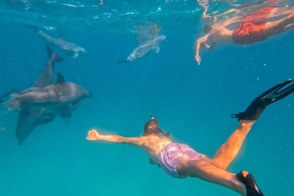 10 Days Bush & Beach Kenya Experience Nairobi – Masai Mara – Lake Naivasha – Amboseli – Diani Beach