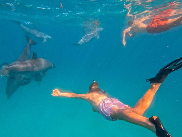 10 Days Bush & Beach Kenya Experience Nairobi – Masai Mara – Lake Naivasha – Amboseli – Diani Beach