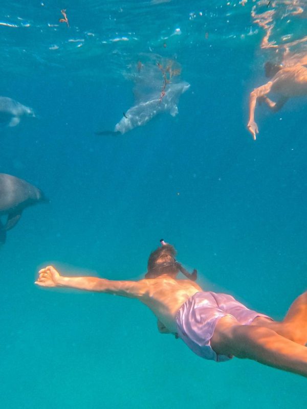 10 Days Bush & Beach Kenya Experience Nairobi – Masai Mara – Lake Naivasha – Amboseli – Diani Beach