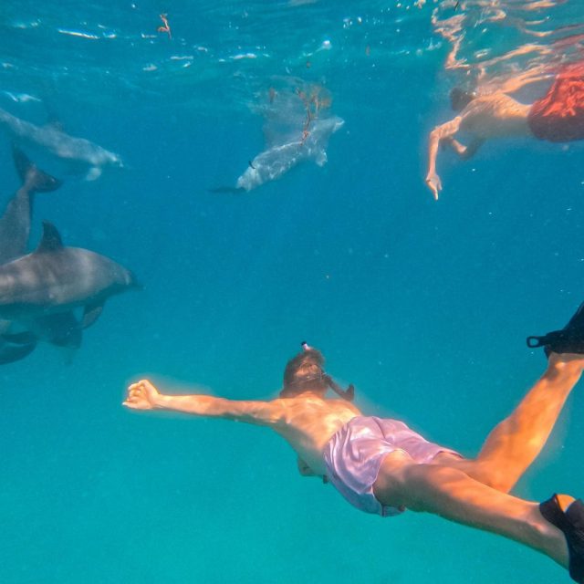 10 Days Bush & Beach Kenya Experience Nairobi – Masai Mara – Lake Naivasha – Amboseli – Diani Beach