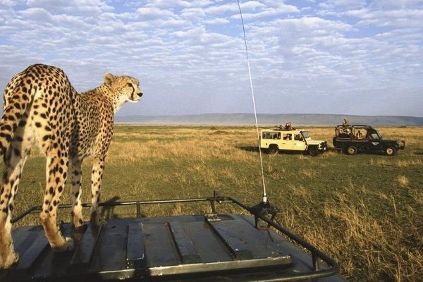 3 Days Maasai Mara Guided Safari from Nairobi