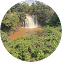 Esther Muasya profile picture